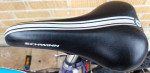 Schwinn Ranger 2.4 FS Youth Bicycle