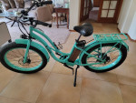 E LUX TOP OF THE LINE ELECTRIC BIKE