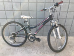 TREK MT 220 Mountain Bicycle