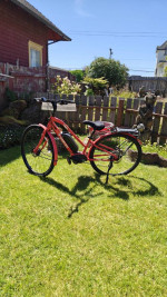 2019 TREK VERVE+ (ELECTRIC BICYCLE)