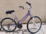 Roadmaster