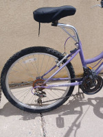 Roadmaster