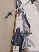 Roadmaster