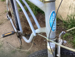 1980 schwinn cruiser