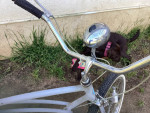1980 schwinn cruiser