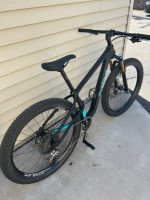 Salsa Woodsmoke carbon fiber