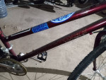 18-speed old school mongoose