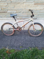 mongoose