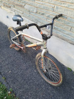 mongoose