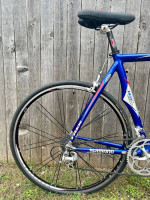 Trek Road Bike