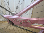 Adult TREK CLASSIC Boardwalk Cruiser Single speed 15 inch frame