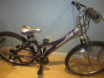 21 Speed TREK MT 220 Mountain Bicycle 11.5 inch frame