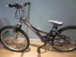 21 Speed TREK MT 220 Mountain Bicycle 11.5 inch frame