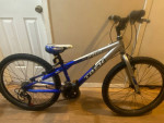 12 Speed TREK MT 200 Mountain Bicycle 12 inch frame