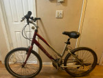 21 Speed TREK NAVIGATOR 100 Hybrid Bicycle 19 inch frame