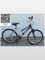 18” Quest Blue, Silver, & Black Mountain Bike