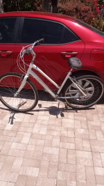 SPECIALIZED ELITE