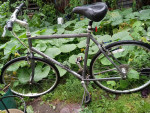 Giant Option 27" Bike