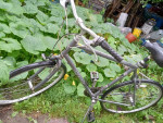 Giant Option 27" Bike