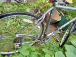 Giant Option 27" Bike