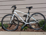 Women's Trek (medium)
