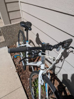 Women's Trek (medium)