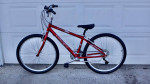TREK Navigator 200 Mens Small Aluminum Cherry Red Metallic