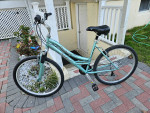 All tune up Special Womens design schwinn  Raider 5"7-5"10