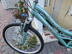 All tune up Special Womens design schwinn  Raider 5"7-5"10