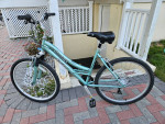 All tune up Special Womens design schwinn  Raider 5"7-5"10