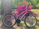 Diamondback Outlooks Women’s MTB