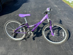 24” Trek MT220 girls kids 21 speed mountain bike
