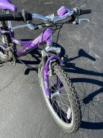 24” Trek MT220 girls kids 21 speed mountain bike