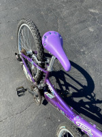 24” Trek MT220 girls kids 21 speed mountain bike
