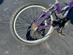 24” Trek MT220 girls kids 21 speed mountain bike