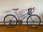 Vintage Huffy Sweet Style 10 Speed Women's Bicycle