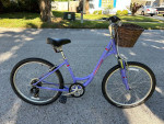 26 inch Specialized Expedition with basket