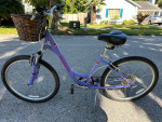 26 inch Specialized Expedition with basket