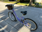 26 inch Specialized Expedition with basket