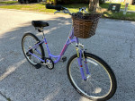 26 inch Specialized Expedition with basket