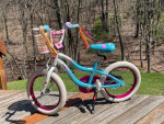 kids youth bike, girls bicycle