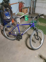 Diamondback Outlook