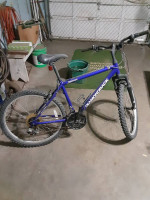 Diamondback Outlook