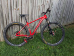Specialized Crave SL SS MTB