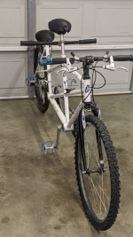 Crestline Tandem Bicycle