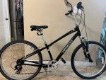 Specialized Expedition Step Over