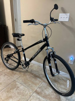 Specialized Expedition Step Over