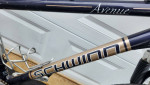 Schwinn Hybrid 700c Bike
