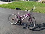 Mountain Bike