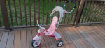 Radio Flyer Steer and Stroll with canopy